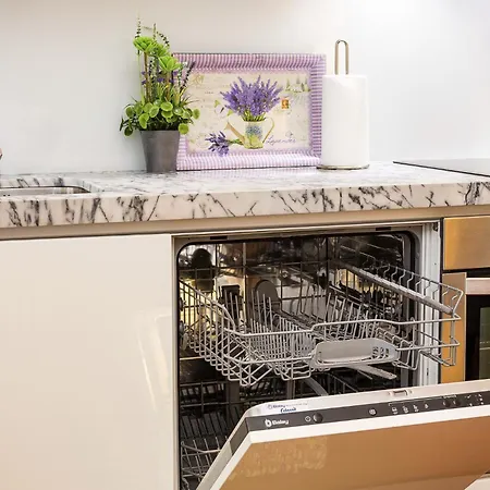 公寓 Viva Santa Teresa Downtown *